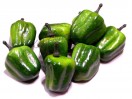 Перець болгарський, 3,5 см, ЗЕЛЕНИЙ